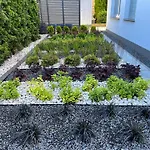 Bela - Pokoje Z Aneksami I Apartamenty